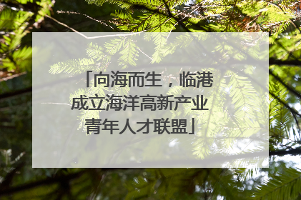 向海而生，临港成立海洋高新产业青年人才联盟