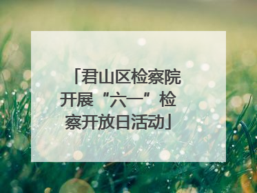 君山区检察院开展“六一”检察开放日活动