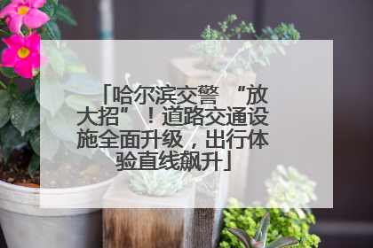 哈尔滨交警 “放大招”！道路交通设施全面升级，出行体验直线飙升