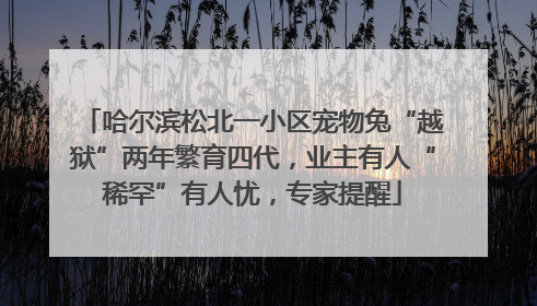 哈尔滨松北一小区宠物兔“越狱”两年繁育四代，业主有人“稀罕”有人忧，专家提醒