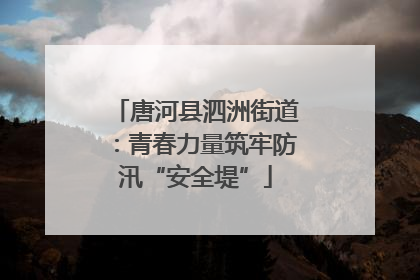 唐河县泗洲街道：青春力量筑牢防汛“安全堤”