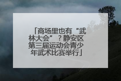 商场里也有“武林大会”？静安区第三届运动会青少年武术比赛举行