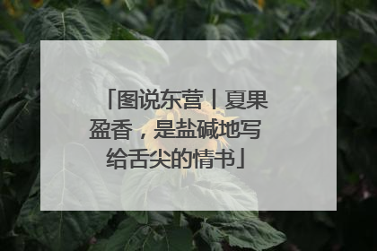 图说东营丨夏果盈香，是盐碱地写给舌尖的情书