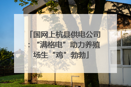 国网上杭县供电公司：“满格电”助力养殖场生“鸡”勃勃