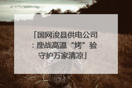 国网浚县供电公司：鏖战高温“烤”验 守护万家清凉