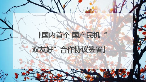 国内首个 国产民机“双友好”合作协议签署