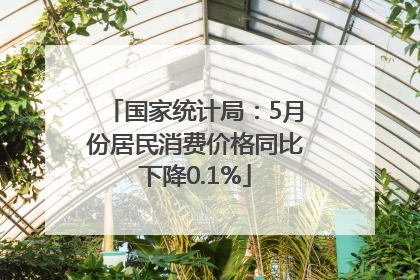 国家统计局：5月份居民消费价格同比下降0.1%