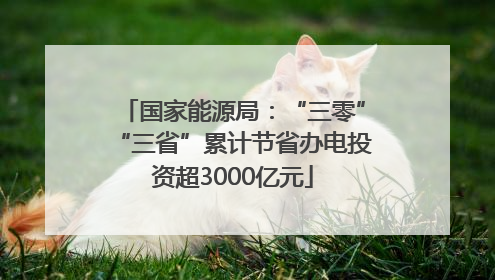 国家能源局：“三零”“三省”累计节省办电投资超3000亿元
