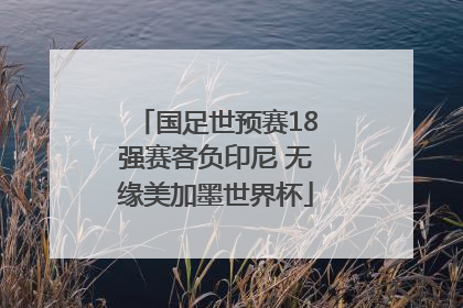 国足世预赛18强赛客负印尼 无缘美加墨世界杯