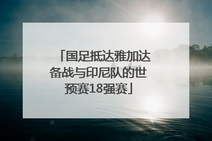 国足抵达雅加达备战与印尼队的世预赛18强赛