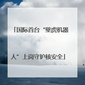 国际首台“壁虎机器人”上岗守护核安全