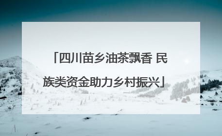 四川苗乡油茶飘香 民族类资金助力乡村振兴