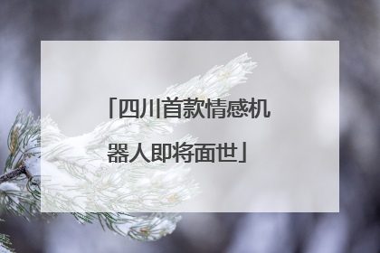 四川首款情感机器人即将面世