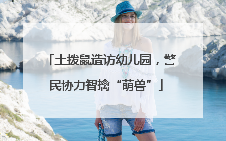 土拨鼠造访幼儿园，警民协力智擒“萌兽”