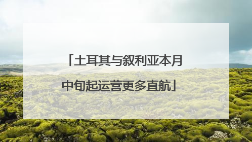 土耳其与叙利亚本月中旬起运营更多直航