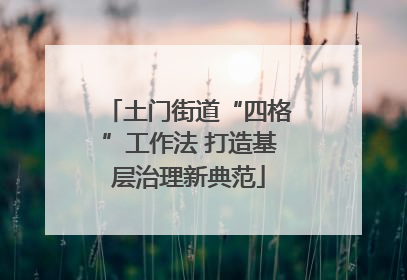 土门街道“四格”工作法 打造基层治理新典范