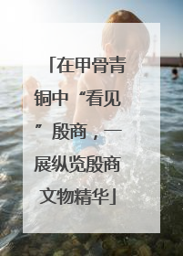 在甲骨青铜中“看见”殷商，一展纵览殷商文物精华