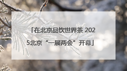 在北京品饮世界茶 2025北京“一展两会”开幕