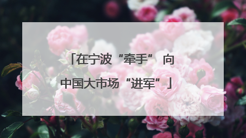 在宁波“牵手” 向中国大市场“进军”