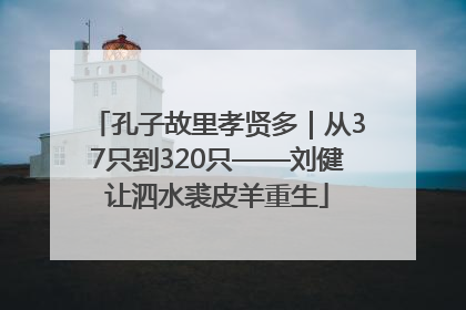 孔子故里孝贤多｜从37只到320只——刘健让泗水裘皮羊重生