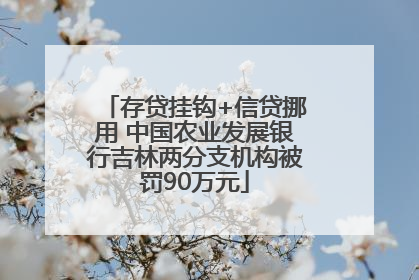存贷挂钩+信贷挪用 中国农业发展银行吉林两分支机构被罚90万元