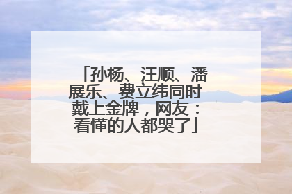 孙杨、汪顺、潘展乐、费立纬同时戴上金牌，网友：看懂的人都哭了