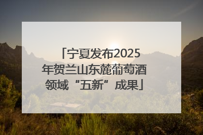 宁夏发布2025年贺兰山东麓葡萄酒领域“五新”成果