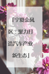 宁夏金凤区：聚力打造汽车产业新生态