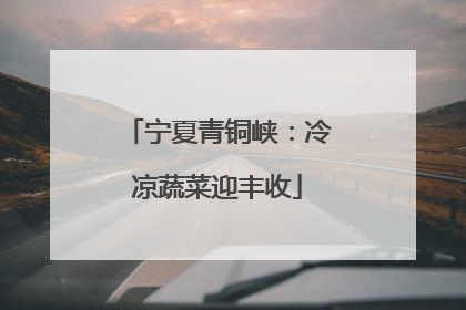 宁夏青铜峡：冷凉蔬菜迎丰收