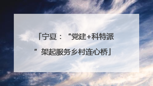 宁夏：“党建+科特派”架起服务乡村连心桥