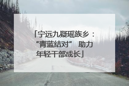 宁远九疑瑶族乡：“青蓝结对” 助力年轻干部成长