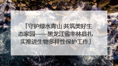 守护绿水青山 共筑美好生态家园——黑龙江省丰林县扎实推进生物多样性保护工作