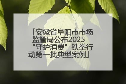 安徽省阜阳市市场监管局公布2025“守护消费”铁拳行动第一批典型案例