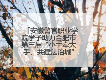 安徽警官职业学院学子助力合肥市第三届“小手牵大手、共建法治城”公益普法活动
