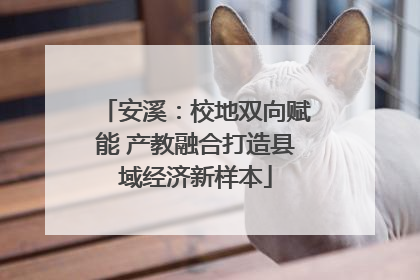 安溪：校地双向赋能 产教融合打造县域经济新样本
