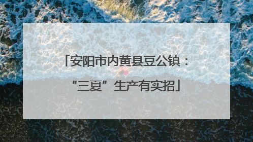 安阳市内黄县豆公镇：“三夏”生产有实招