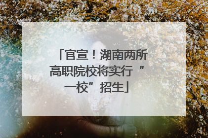 官宣！湖南两所高职院校将实行“一校”招生