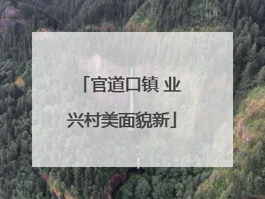 官道口镇 业兴村美面貌新