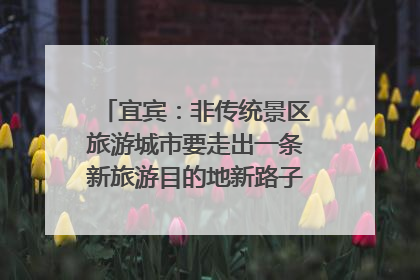 宜宾：非传统景区旅游城市要走出一条新旅游目的地新路子｜话锦绣·说安逸