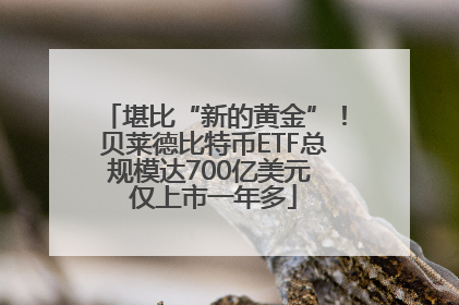 堪比“新的黄金”！贝莱德比特币ETF总规模达700亿美元 仅上市一年多