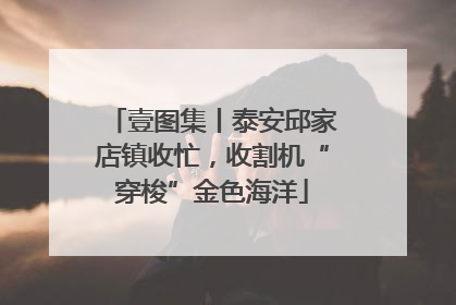 壹图集丨泰安邱家店镇收忙，收割机“穿梭”金色海洋