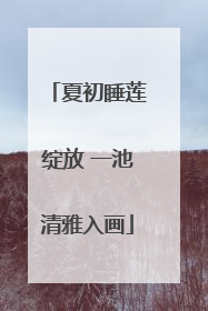 夏初睡莲绽放 一池清雅入画