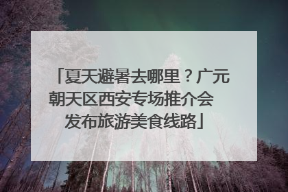 夏天避暑去哪里？广元朝天区西安专场推介会 发布旅游美食线路