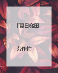 夏日梯田劳作忙
