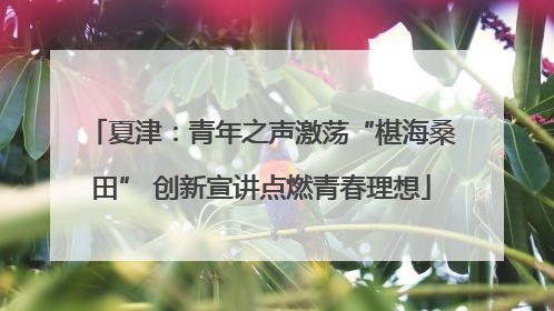 夏津：青年之声激荡“椹海桑田” 创新宣讲点燃青春理想