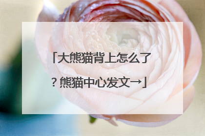 大熊猫背上怎么了？熊猫中心发文→