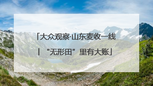 大众观察·山东麦收一线丨“无形田”里有大账