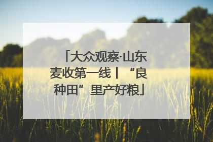 大众观察·山东麦收第一线丨“良种田”里产好粮