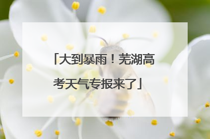 大到暴雨！芜湖高考天气专报来了
