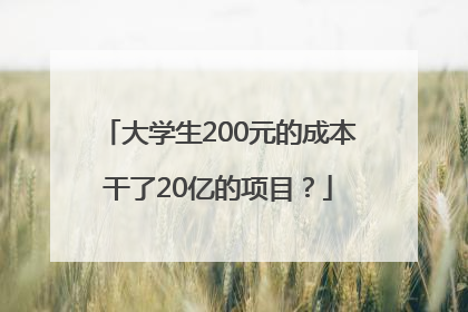 大学生200元的成本干了20亿的项目？